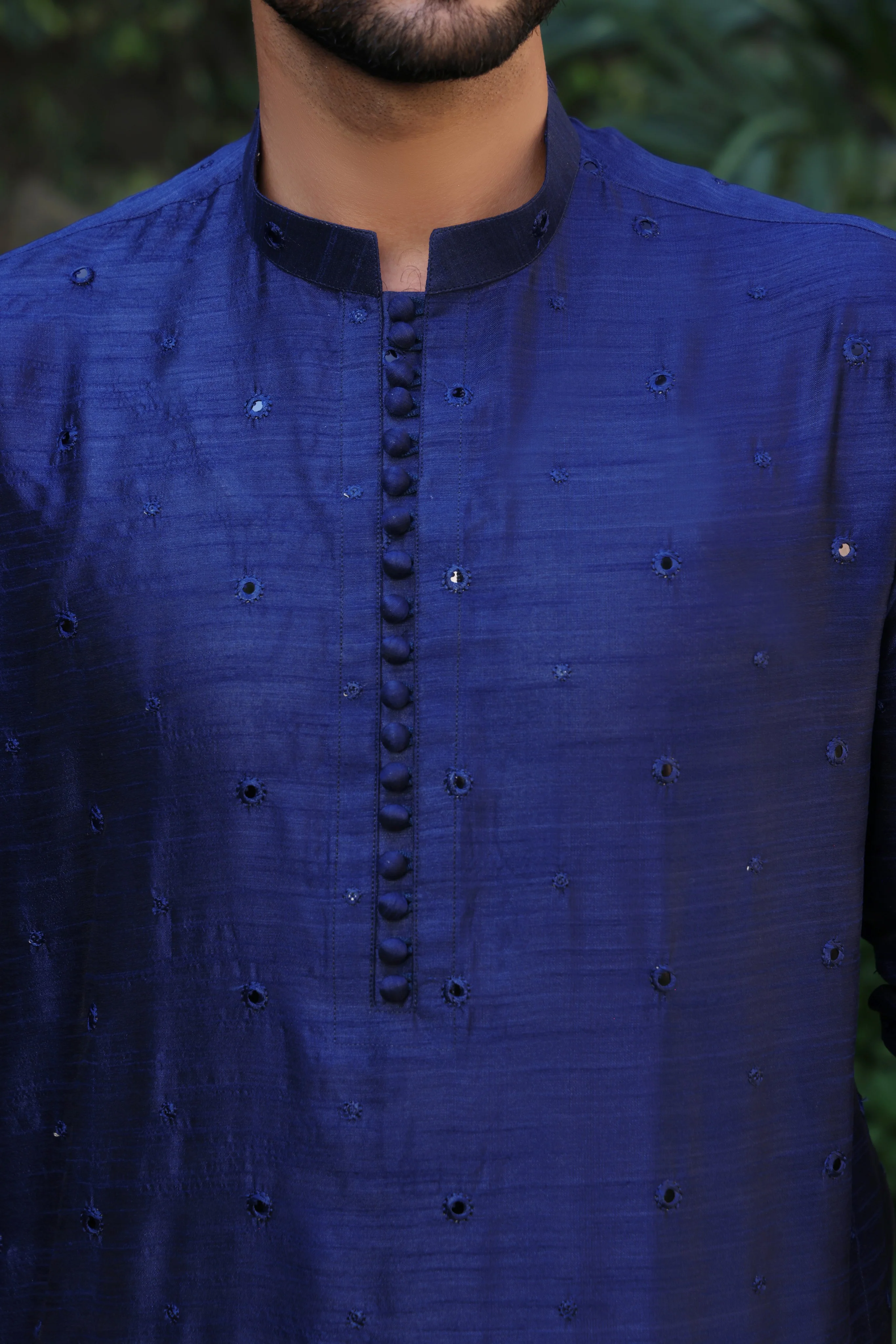 Blue Monarch - Image 4